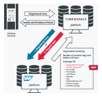 Personal data import from SAP ERP to Time&Space